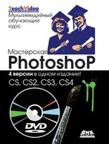 Мастерская Photoshop – CS, CS2, CS3, CS4 + DVD. Мультимедийный обучающий курс